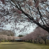 ☆穴場☆