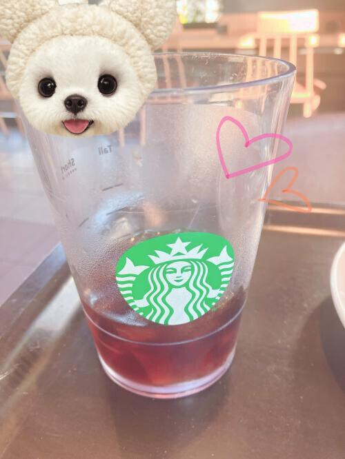 5月も○＊°