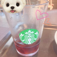 5月も○＊°