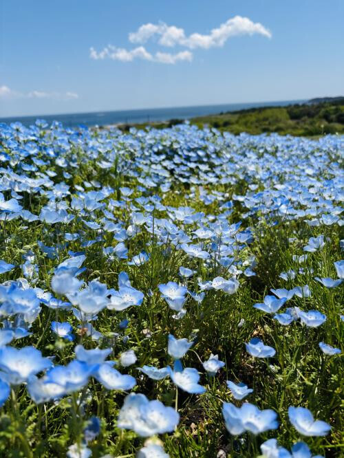 おはようございます🔆🤍