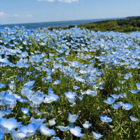 おはようございます🔆🤍