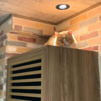 ほのか