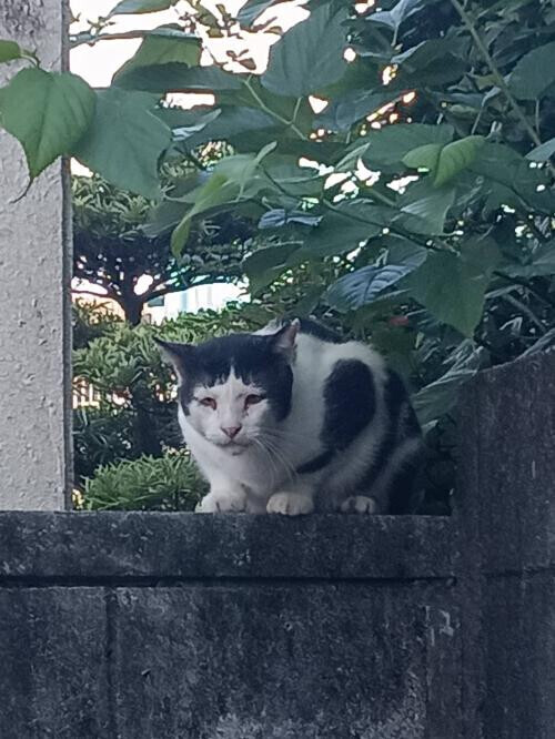 今日お休み☆最終日明日は行く。
