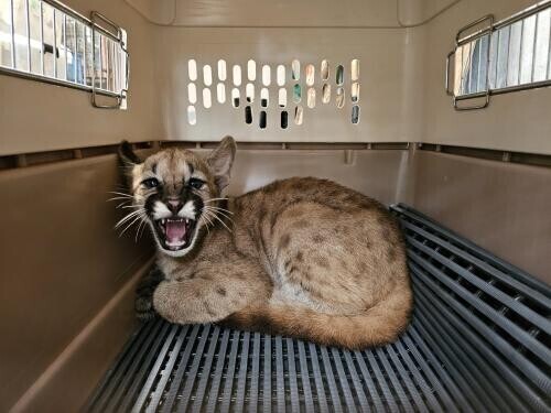 理不尽だよなー