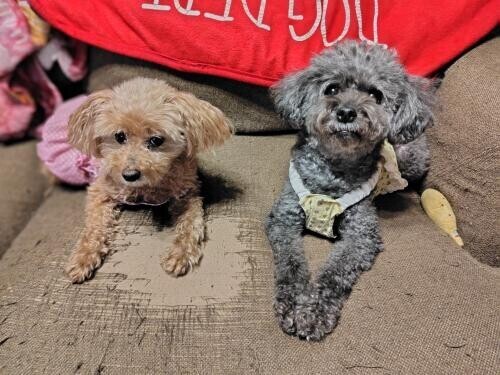 ☆ポッキーの日？☆