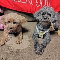 ☆ポッキーの日？☆