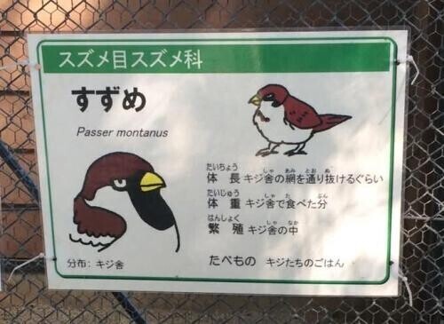 最終日☆ごめん！