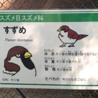 最終日☆ごめん！