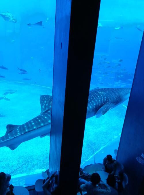 来月大丈夫か心配。