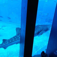 来月大丈夫か心配。