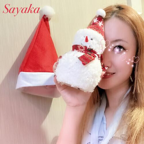 貴方様の姫納🎄.*