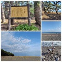 ☆三保の松原☆
