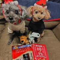 ☆メリークリスマス☆