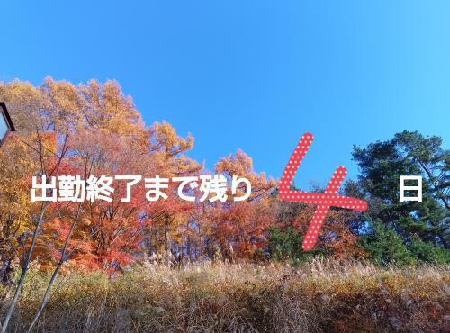 残4日☆