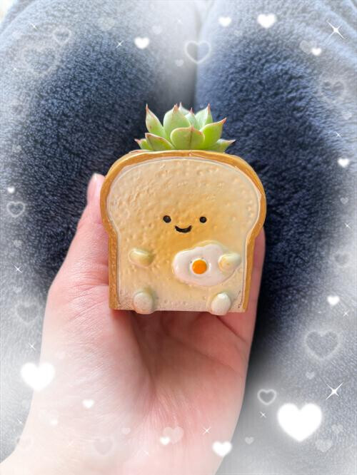 明日から🙇‍♀️