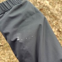 ☆１月初めに…☆