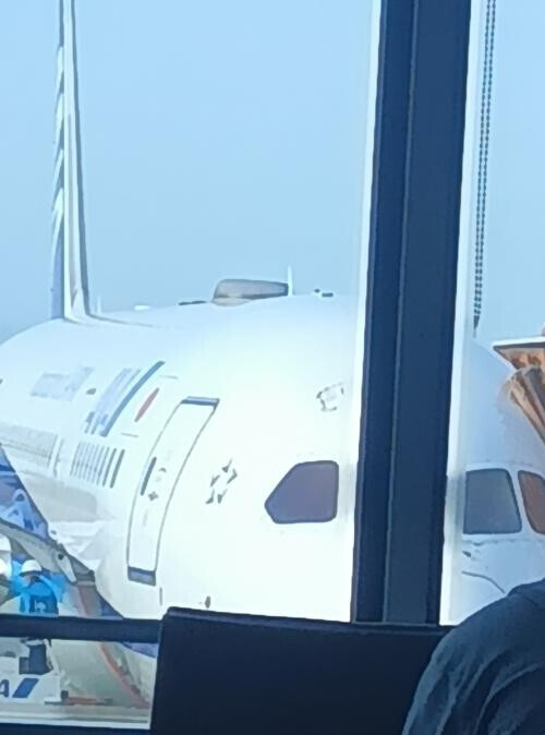 愛媛→関東いいな☆