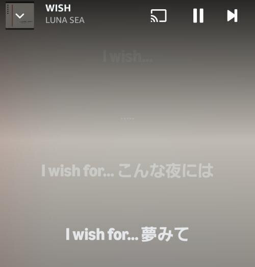 やってしまった…