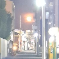 おやすみとなります。