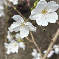 🏥少しの間🏥