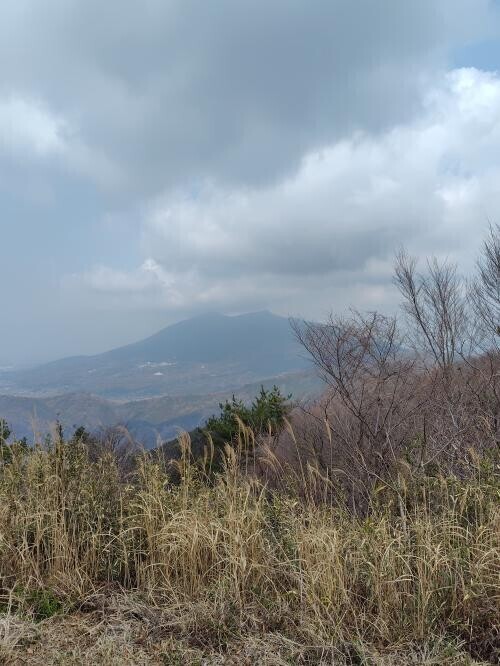 ☆良き☆