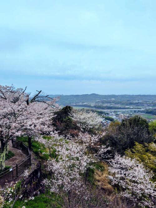 ☆登山？☆
