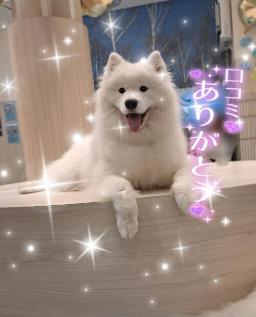 今きづきました！😭😭