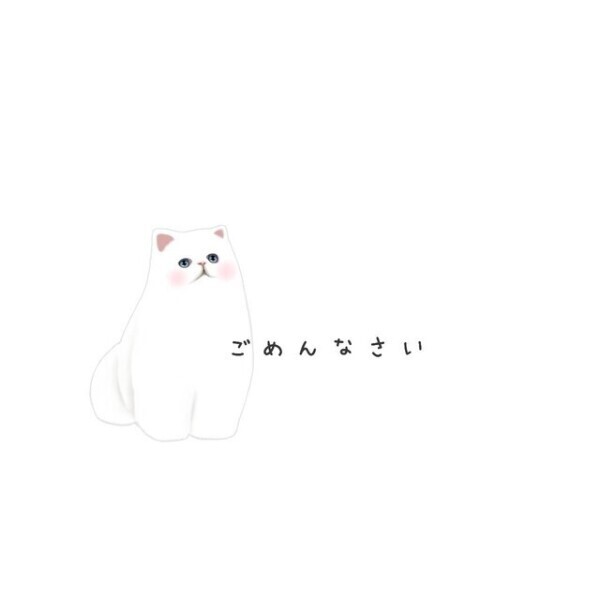 ごめんなさい🥲