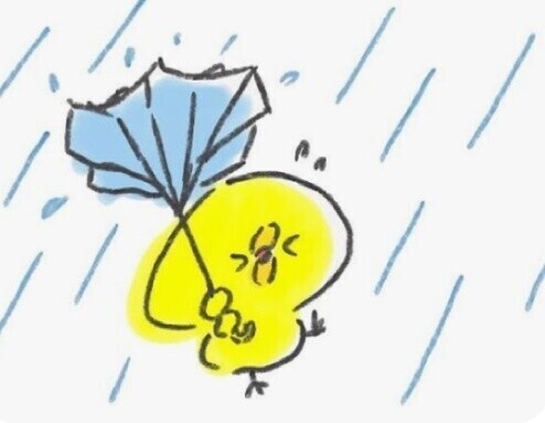 お気をつけくださいね☔️
