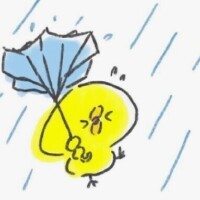 るみ
