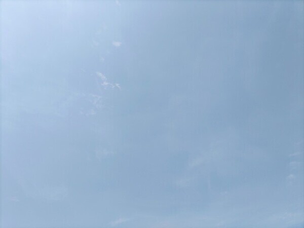梅雨明け☀️