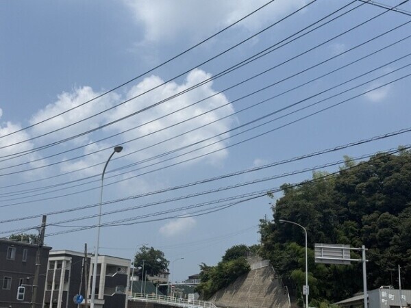 🤍こんにちは🤍