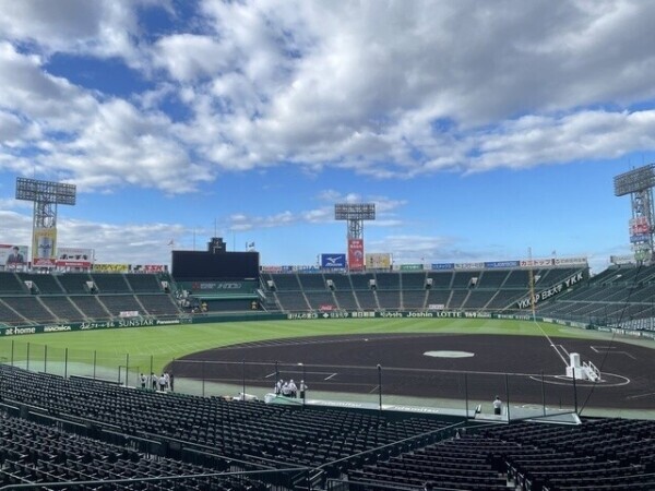 夏は⚾️