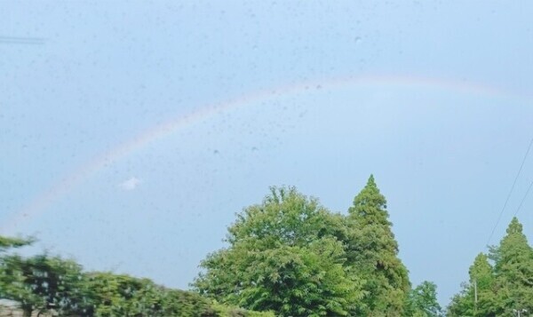🌈