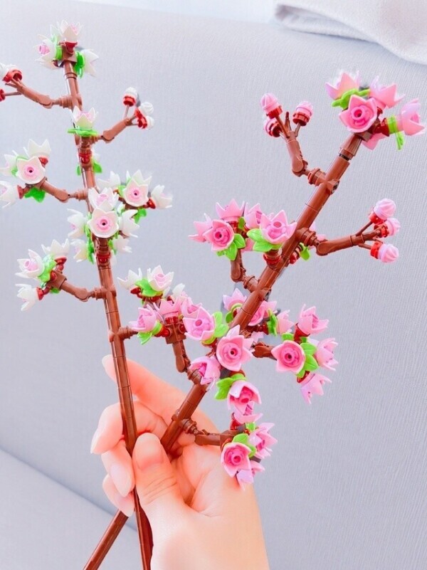 枯れない🌸