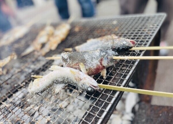 🤍BBQ🤍