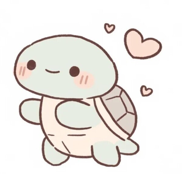 亀さん♡