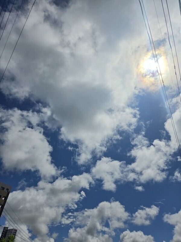 再来