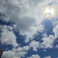 みく