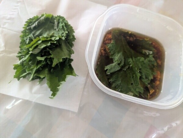 しそ大量消費(*´꒳`*)🍚🌿