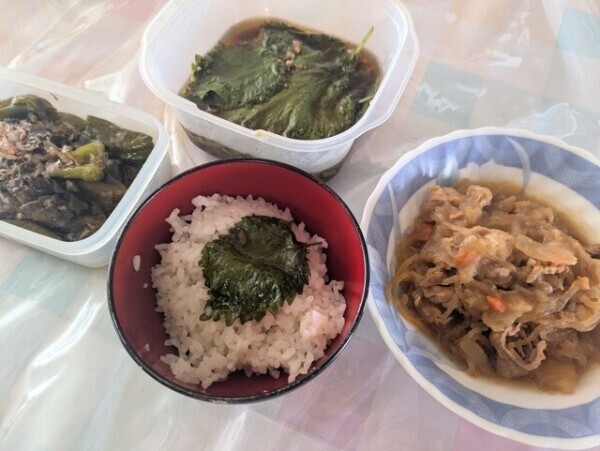 朝ごはん🍚昨日のシソ🌿