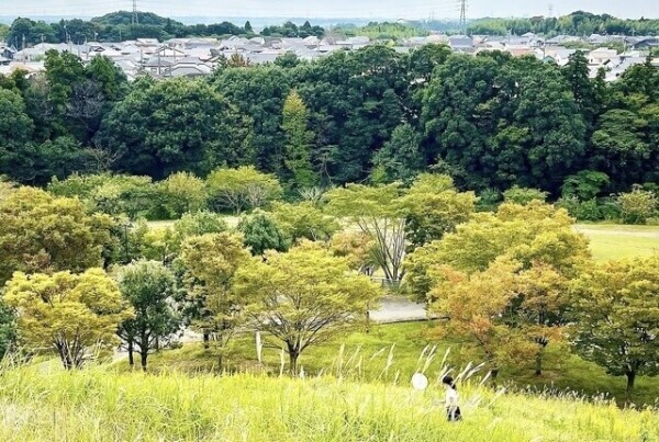 🤍今日🤍