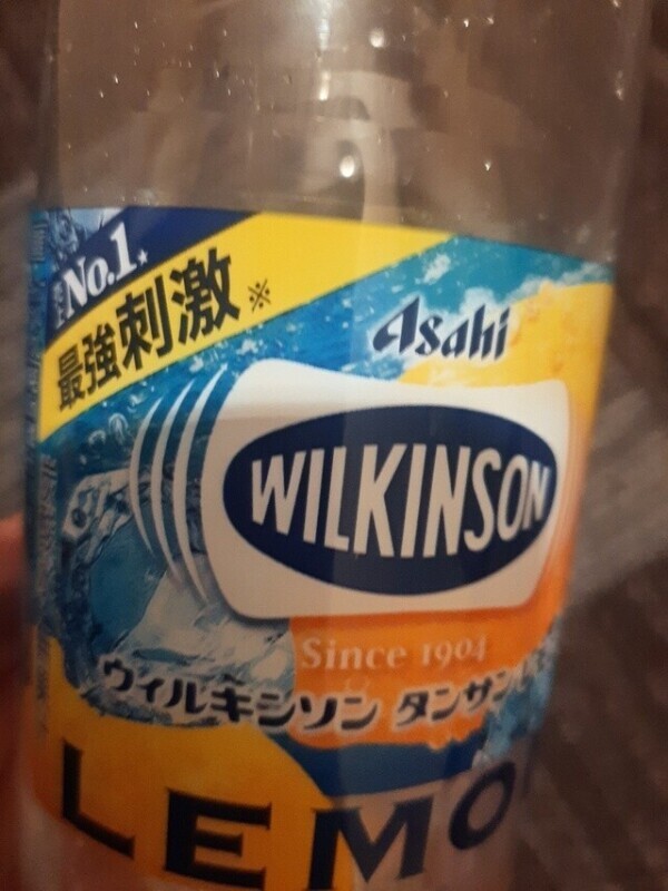 おはようございます(・∀・)