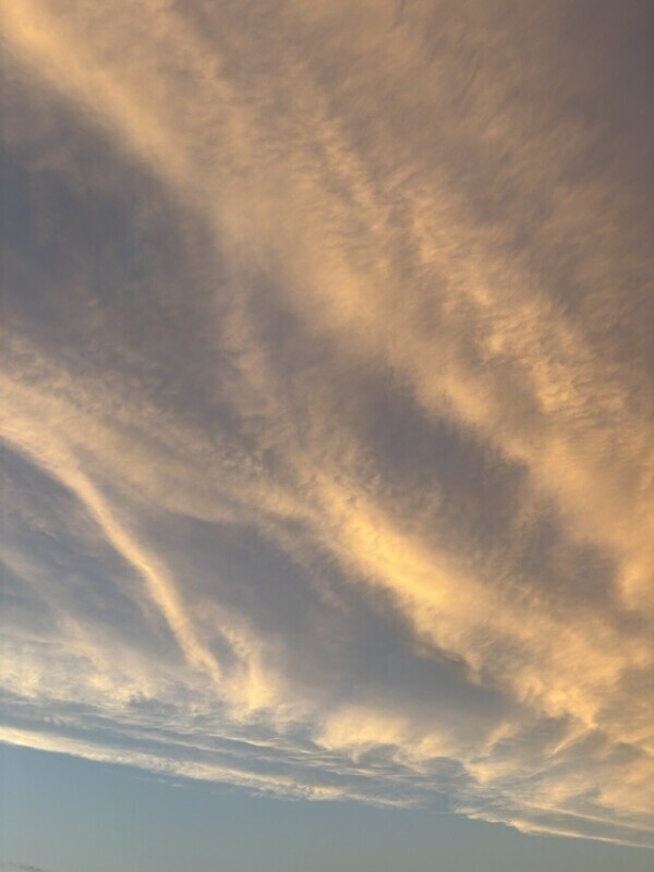 夕暮れ♡