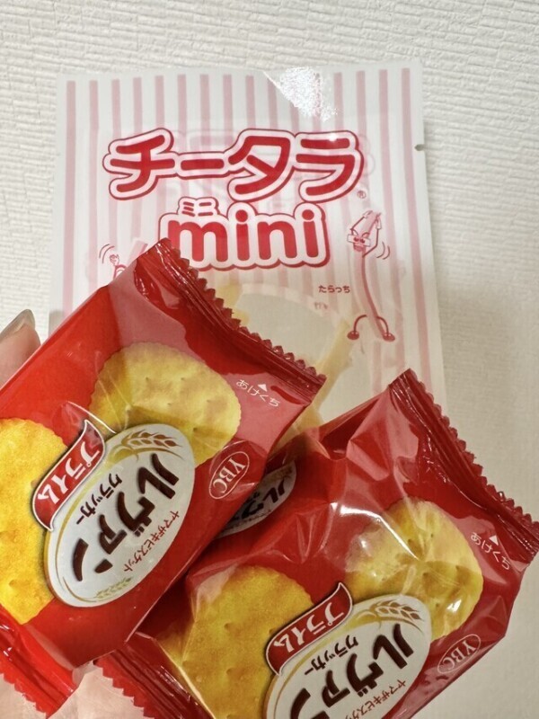 チーズ好き🧀
