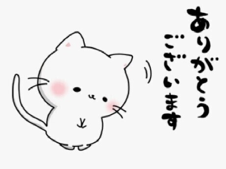 🕊️本日もありがとうございます🤍