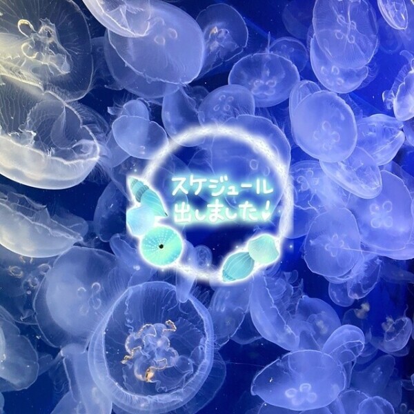 次回(∩&#039;-&#039;⊂)ｼｭｯ