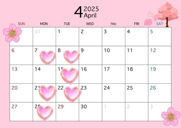 ‎🤍‎4月の予定です🧸🤍