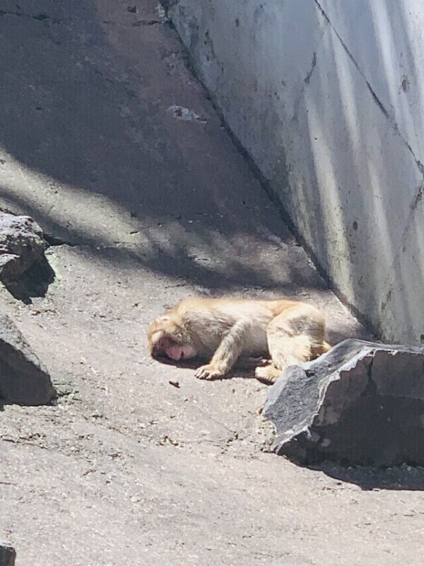 おはようございます☀️