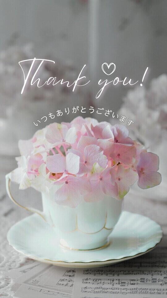 🕊️本日もありがとうございます🤍